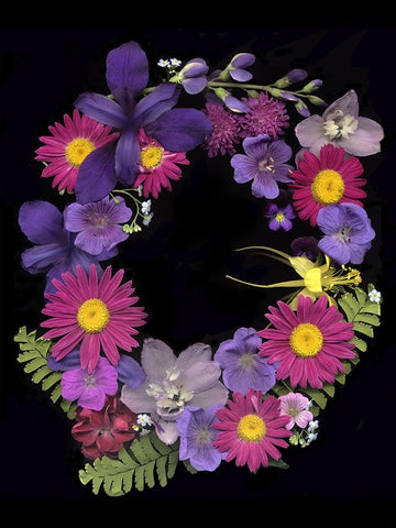 Flower Drama III White Modern Wood Framed Art Print with Double Matting by Stalus, Judy