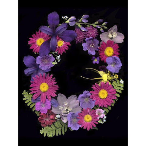Flower Drama III Black Modern Wood Framed Art Print with Double Matting by Stalus, Judy