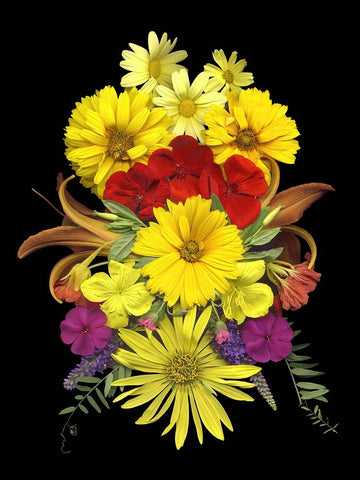 Flower Drama V White Modern Wood Framed Art Print with Double Matting by Stalus, Judy