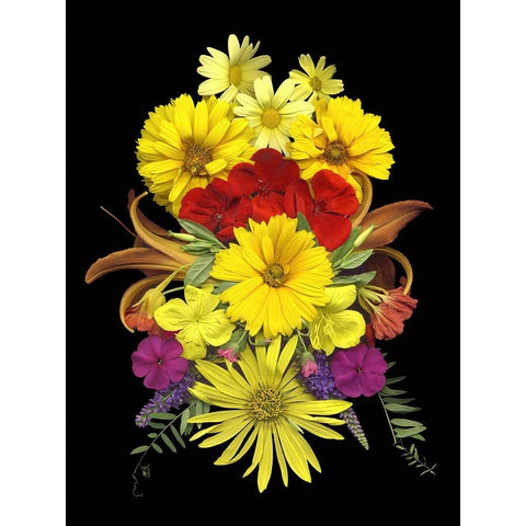 Flower Drama V White Modern Wood Framed Art Print by Stalus, Judy