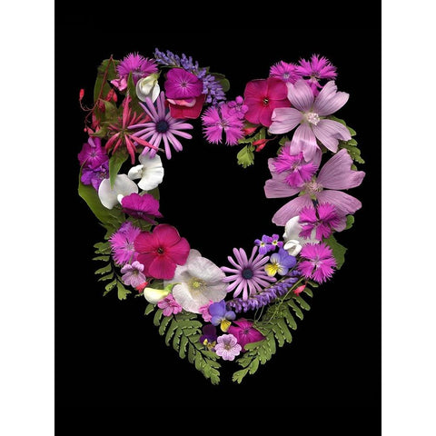Flower Drama VI Black Modern Wood Framed Art Print with Double Matting by Stalus, Judy