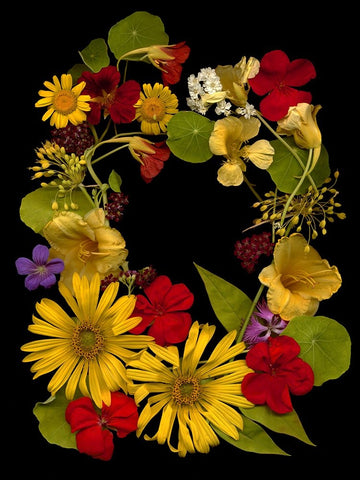 Flower Drama IX White Modern Wood Framed Art Print with Double Matting by Stalus, Judy