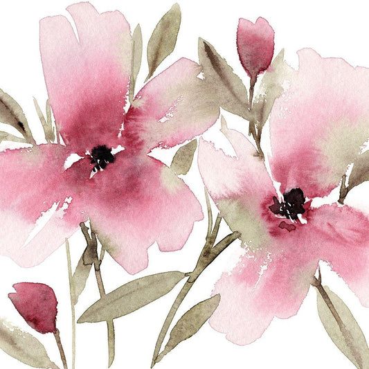 Image Only