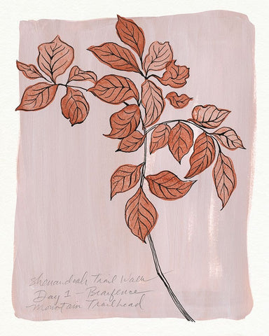 Trail Walk Journal I White Modern Wood Framed Art Print with Double Matting by Marr, Laura