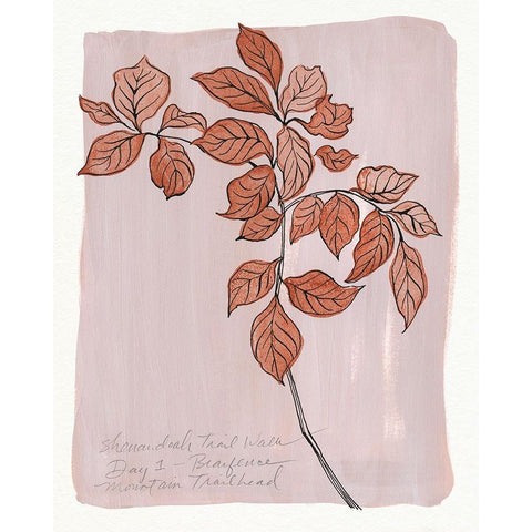 Trail Walk Journal I Gold Ornate Wood Framed Art Print with Double Matting by Marr, Laura