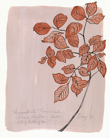 Trail Walk Journal II Black Ornate Wood Framed Art Print with Double Matting by Marr, Laura