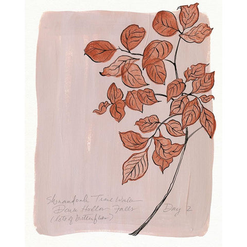 Trail Walk Journal II Black Modern Wood Framed Art Print with Double Matting by Marr, Laura