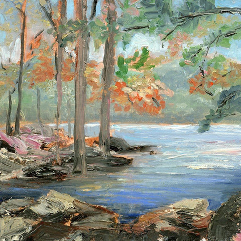 Along the River Black Modern Wood Framed Art Print by Iafrate, Sandra