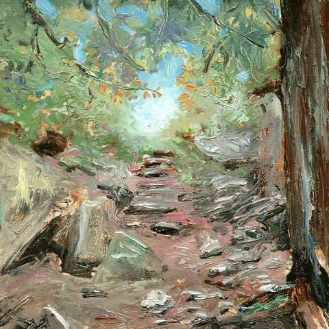 Trail in Woods Black Ornate Wood Framed Art Print with Double Matting by Iafrate, Sandra