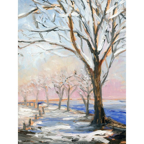 Lakeside in Winter Gold Ornate Wood Framed Art Print with Double Matting by Iafrate, Sandra