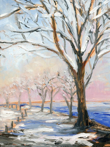 Lakeside in Winter White Modern Wood Framed Art Print with Double Matting by Iafrate, Sandra