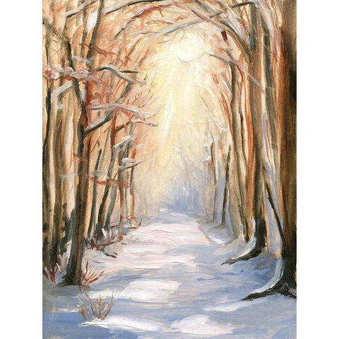 Path in Winter White Modern Wood Framed Art Print by Iafrate, Sandra