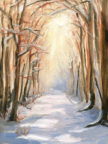 Path in Winter White Modern Wood Framed Art Print with Double Matting by Iafrate, Sandra
