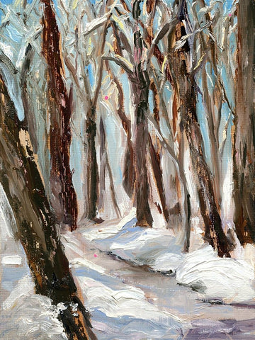 Woods in Winter Black Ornate Wood Framed Art Print with Double Matting by Iafrate, Sandra