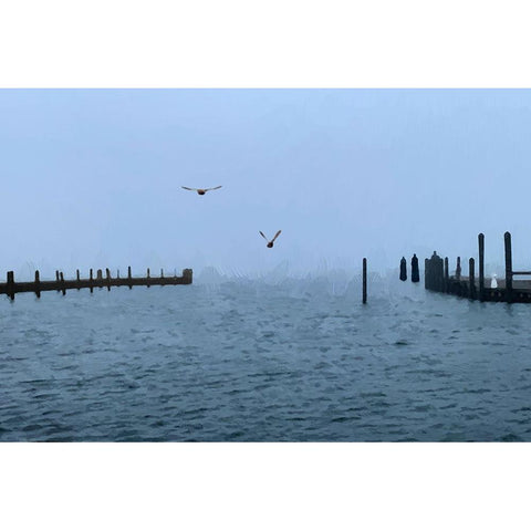 Pines Harbor Blue White Modern Wood Framed Art Print by Pica, Jeff