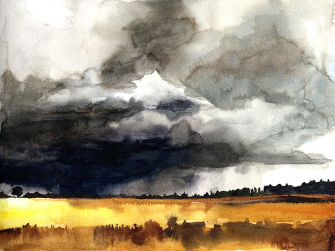 Bold Sky View II Black Ornate Wood Framed Art Print with Double Matting by McCreery, Paul