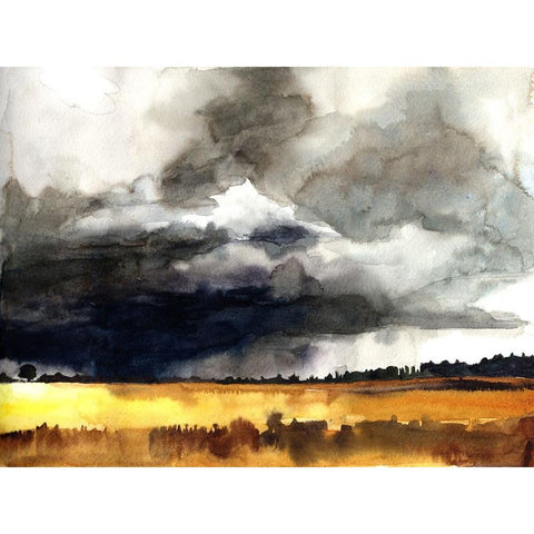 Bold Sky View II Black Modern Wood Framed Art Print by McCreery, Paul