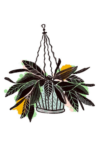 Plant Pop I White Modern Wood Framed Art Print with Double Matting by Ewer, Rebekah