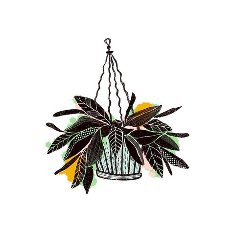 Plant Pop I White Modern Wood Framed Art Print by Ewer, Rebekah