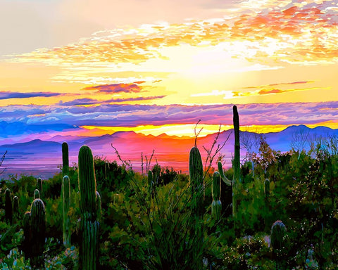 Arizona Sunset White Modern Wood Framed Art Print with Double Matting by Kalina, Emily