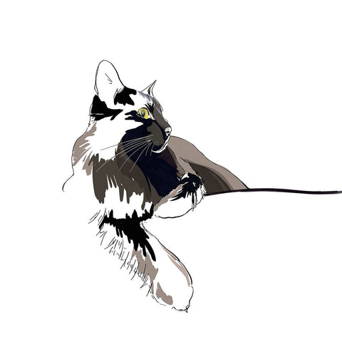 Asher I White Modern Wood Framed Art Print with Double Matting by Kalina, Emily