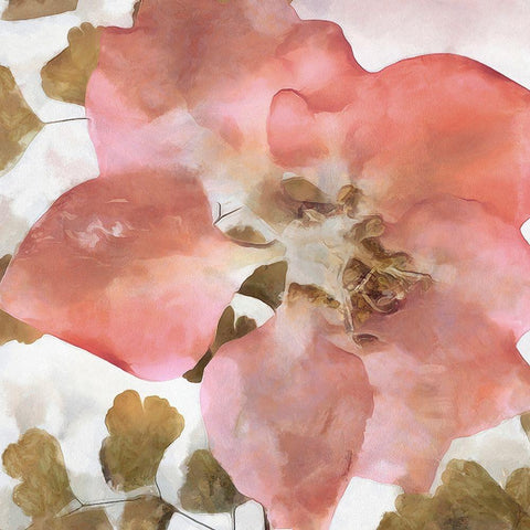 Delicateness II Gold Ornate Wood Framed Art Print with Double Matting by Saunders, Alonzo