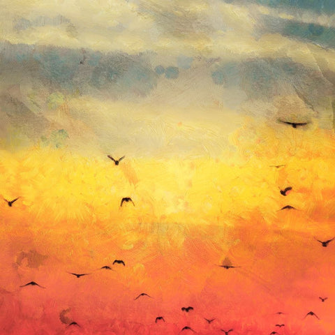 Morning Flight II White Modern Wood Framed Art Print with Double Matting by Saunders, Alonzo