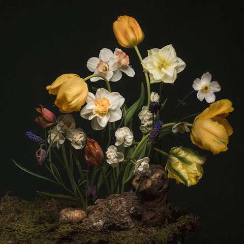 Sunny Spring Bounty  II White Modern Wood Framed Art Print by McLean, Leah