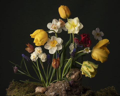 Sunny Spring Bounty  III White Modern Wood Framed Art Print with Double Matting by McLean, Leah