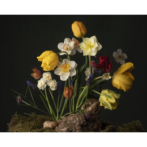 Sunny Spring Bounty  III Black Modern Wood Framed Art Print by McLean, Leah