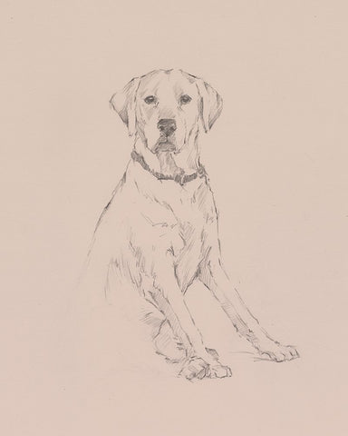 Lab Study I Black Ornate Wood Framed Art Print with Double Matting by Harper, Ethan