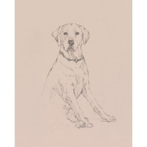 Lab Study I Black Modern Wood Framed Art Print by Harper, Ethan