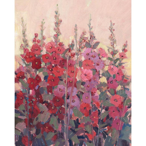 Hollyhocks in a Row II White Modern Wood Framed Art Print by OToole, Tim