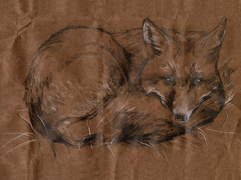 Crafty Fox I White Modern Wood Framed Art Print with Double Matting by Parker, Jennifer Paxton