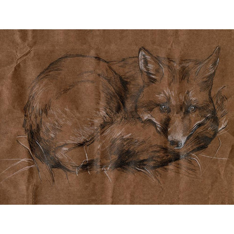 Crafty Fox I Black Modern Wood Framed Art Print with Double Matting by Parker, Jennifer Paxton