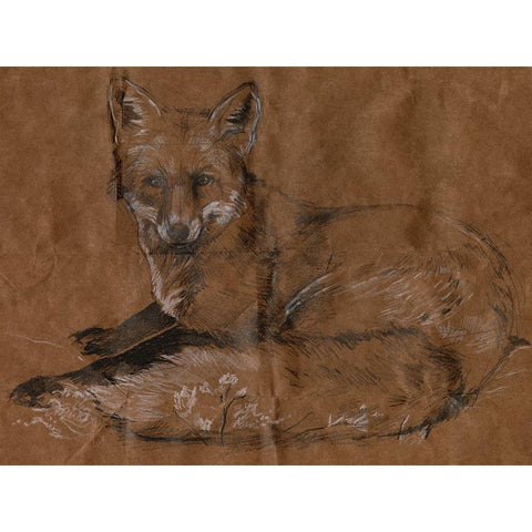 Crafty Fox II Black Modern Wood Framed Art Print with Double Matting by Parker, Jennifer Paxton