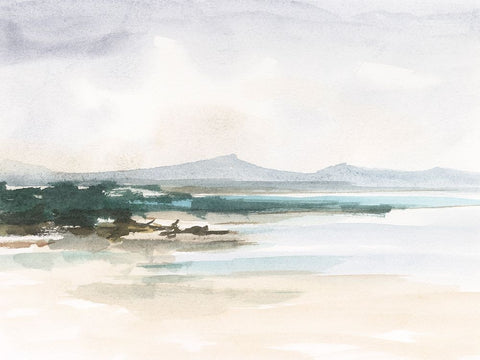 Beach Inlet II Black Ornate Wood Framed Art Print with Double Matting by Harper, Ethan