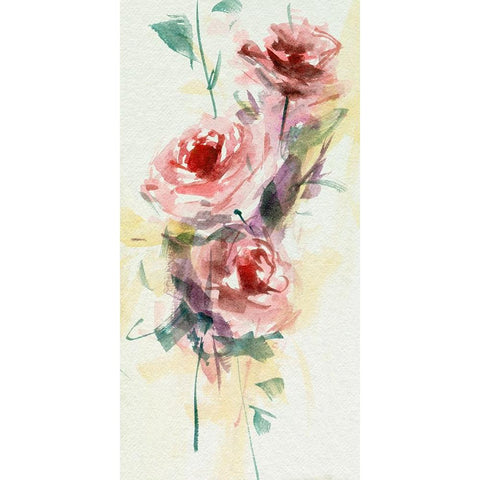 Rosa Flora III White Modern Wood Framed Art Print by Wang, Melissa