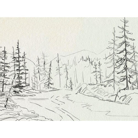 Piney Forest I Black Modern Wood Framed Art Print with Double Matting by Caroline, Emma