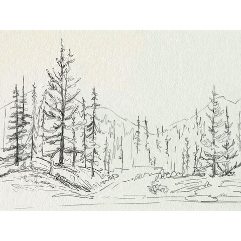 Piney Forest II White Modern Wood Framed Art Print by Caroline, Emma
