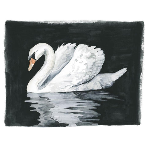 Midnight Swim I Black Modern Wood Framed Art Print with Double Matting by Popp, Grace