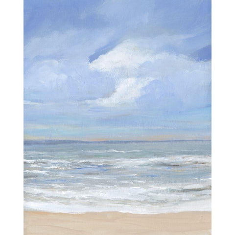 High Tide Beach II Black Modern Wood Framed Art Print with Double Matting by OToole, Tim