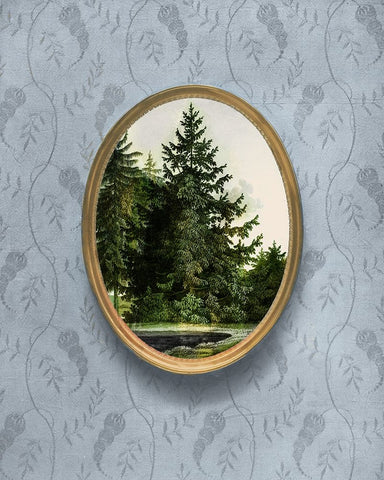 Woodland Fir Cameo I Black Ornate Wood Framed Art Print with Double Matting by Vision Studio