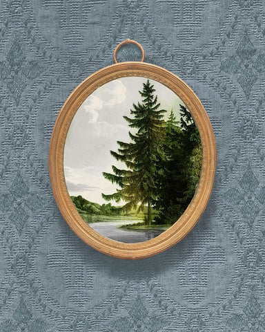 Woodland Fir Cameo II White Modern Wood Framed Art Print with Double Matting by Vision Studio