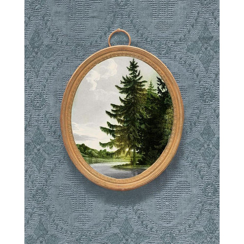 Woodland Fir Cameo II Black Modern Wood Framed Art Print with Double Matting by Vision Studio