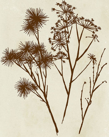 Spray Silhouettes I Black Ornate Wood Framed Art Print with Double Matting by Vision Studio