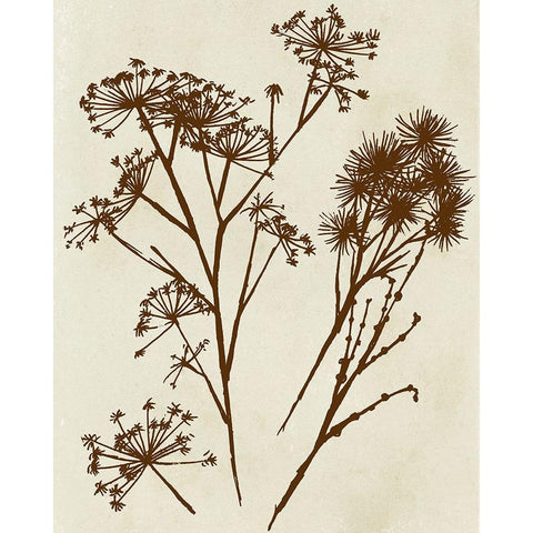 Spray Silhouettes II Black Modern Wood Framed Art Print with Double Matting by Vision Studio