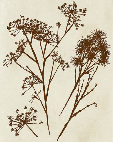 Spray Silhouettes II Black Ornate Wood Framed Art Print with Double Matting by Vision Studio