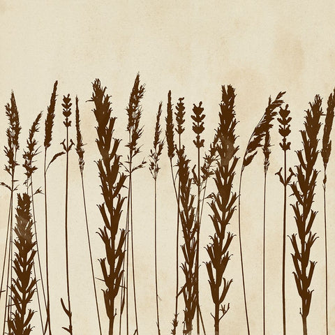 Garden Silhouette LIneup II Black Ornate Wood Framed Art Print with Double Matting by Vision Studio