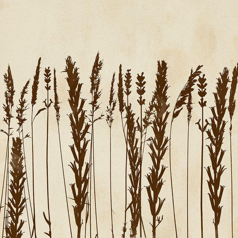 Garden Silhouette LIneup II Gold Ornate Wood Framed Art Print with Double Matting by Vision Studio